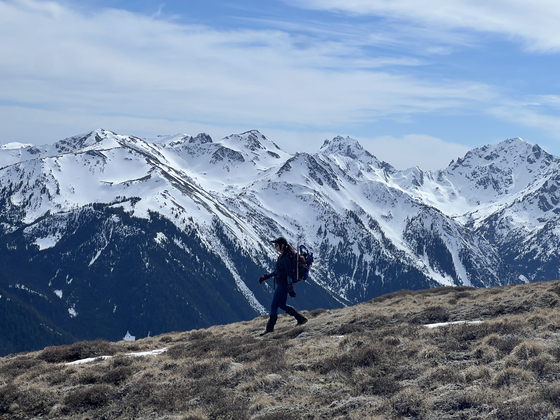 Olympic National Forest