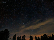 The Sky is full of Stars and a Meteor passing though it all....