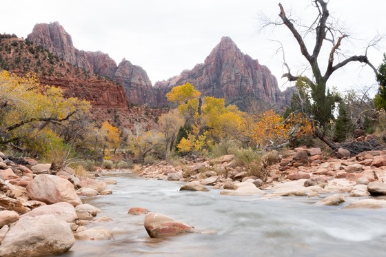 Zion National Park