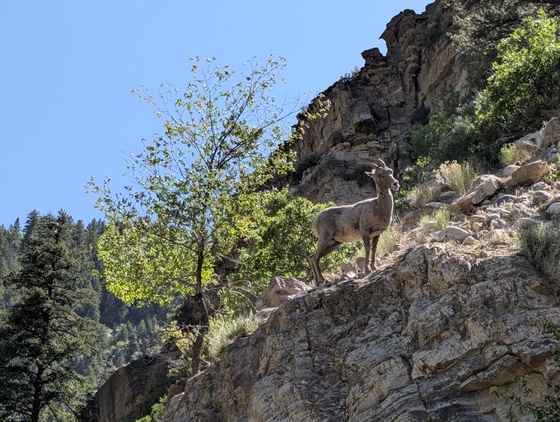 White River National Forest
