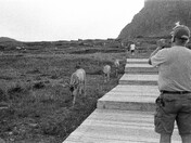 Glacier National Park