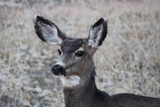 Zion National Park