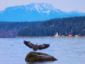 Toward Quadra Island
