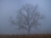 Great Smoky Mountain National Park