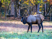 Great Smoky Mountain National Park