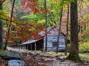 Great Smoky Mountain National Park