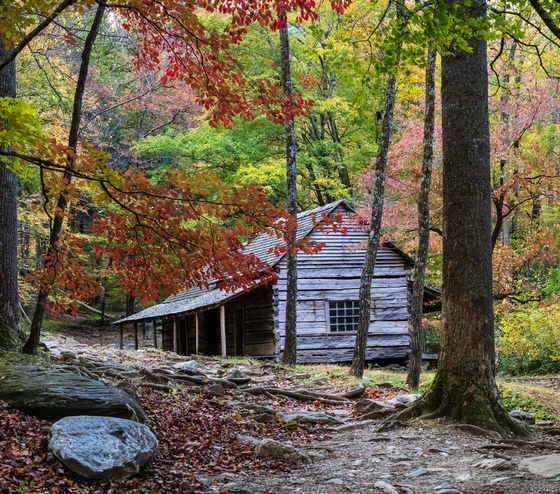 Great Smoky Mountain National Park