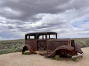 Petrified Forest National Park