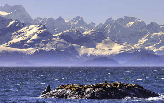 Glacier Bay National Park
