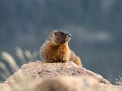 Rocky Mountain National Park