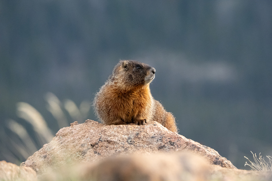 Rocky Mountain National Park