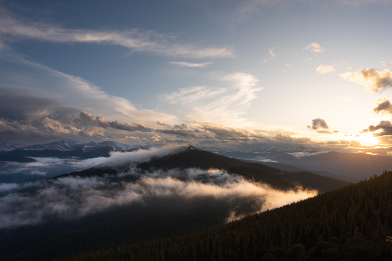 Arapahoe and Roosevelt National Forests