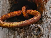 Logging Chain & Boom Stick