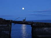 Superior National Forest