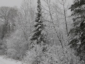 Superior National Forest