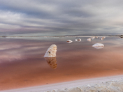 Don Edwards San Francisco Bay National Wildlife Refuge