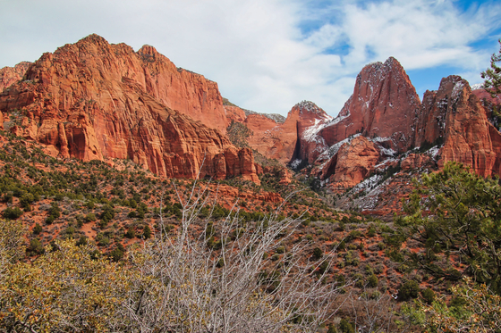 Zion National Park