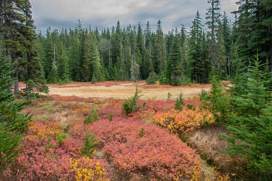 Indian Heaven Wilderness