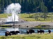 Yellowstone National Park