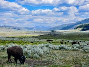 Yellowstone National Park