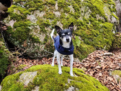 Acadia National Park