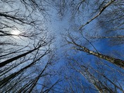 Acadia National Park