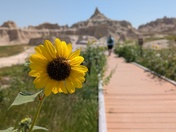 Badlands National Park