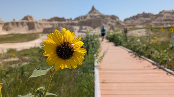 Badlands National Park