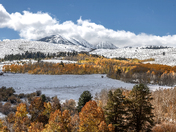 Inyo National Forest