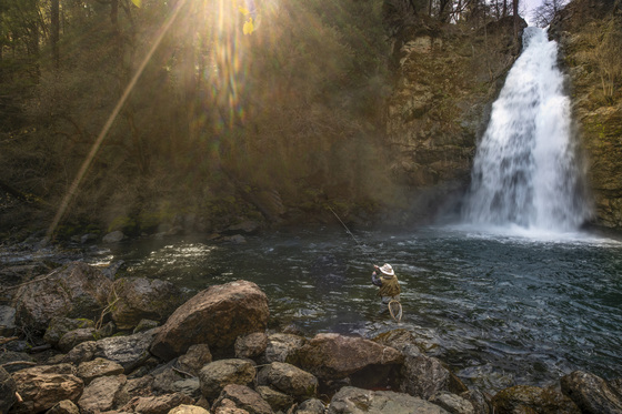 Shasta-Trinity National Forest