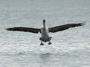 Biscayne National Park