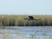 Everglades National Park