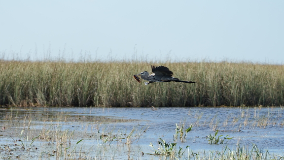 Everglades National Park