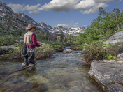 Humboldt-Yoiyabe National Forest