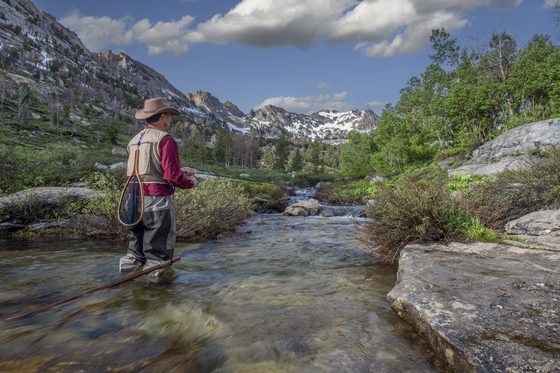 Humboldt-Toiyabe National Forest