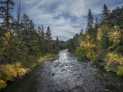 Shasta-Trinity National Forest