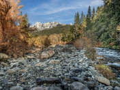 Shasta-Trinity National Forest