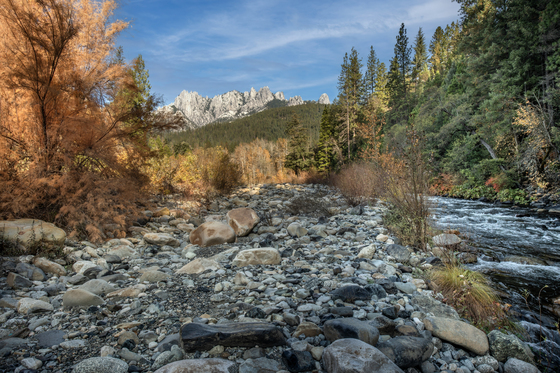 Shasta-Trinity National Forest