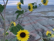 Badlands National Park