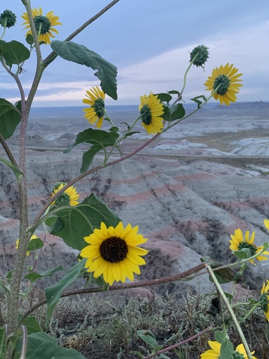 Badlands National Park