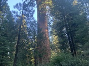 Kings Canyon National Park 