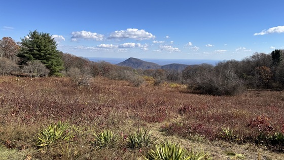 Shenandoah National Park