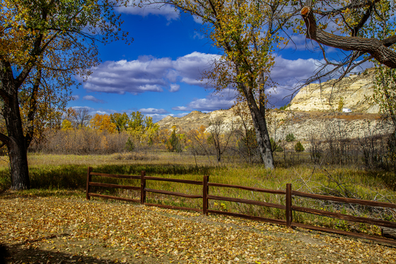 Theodore Roosevelt National Park