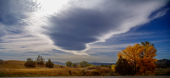 Theodore Roosevelt National Park