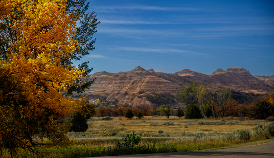 Theodore Roosevelt National Park