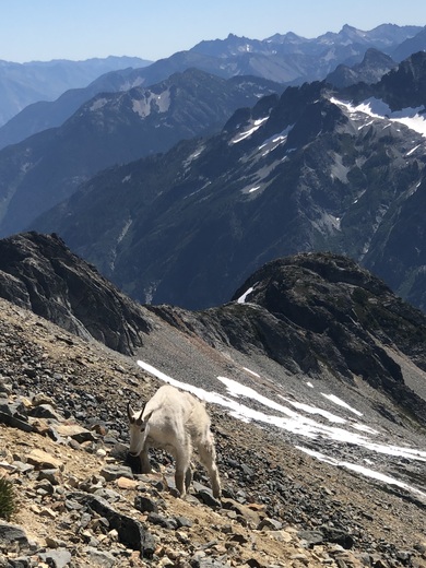 North Cascades National Park
