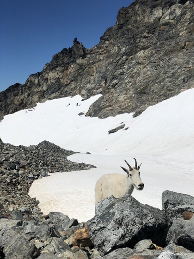 North Cascades National Park