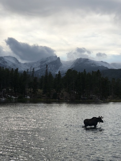 Rocky Mountain National Park