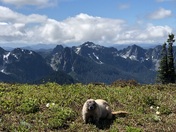 Mount Rainier National Park