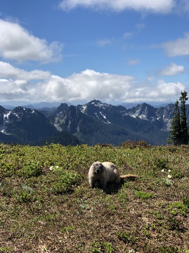 Mount Rainier National Park